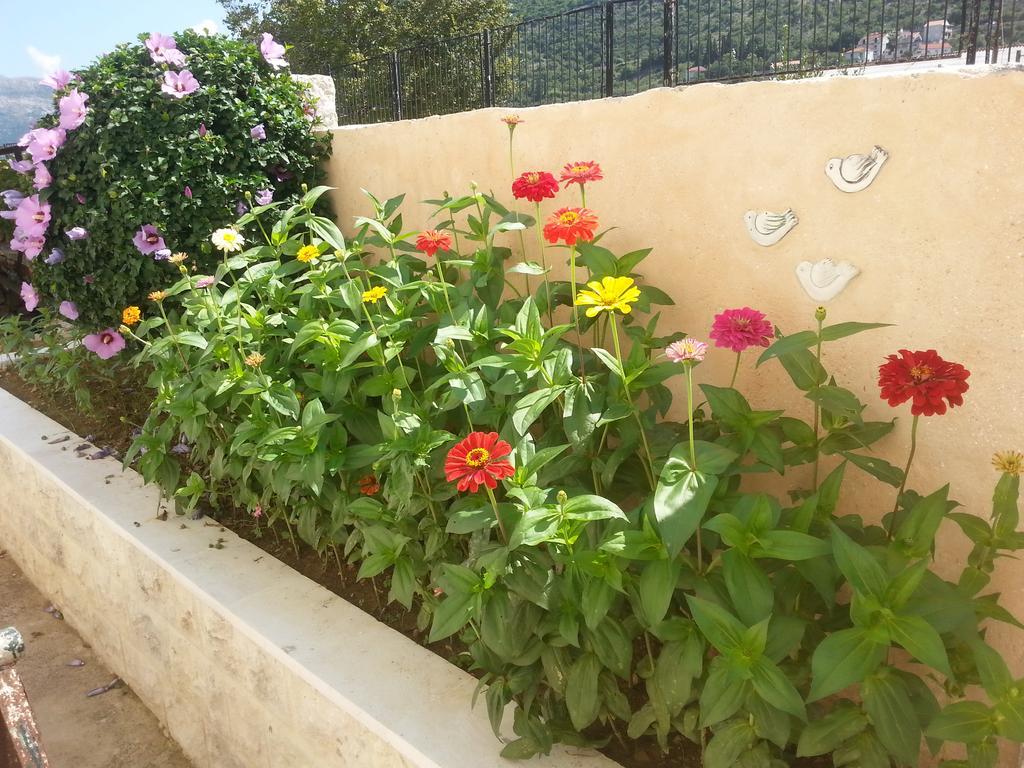 Apartment Mare S Mora Mokosica Exterior photo